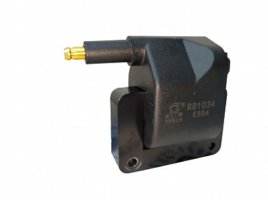 Катушка зажигания R81034 E504