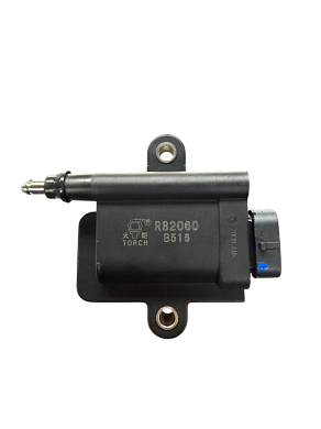 Катушка зажигания R82060