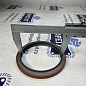 Сальник коленвала задний двигателя Woling WLG 308, WLG 375, WLG 510